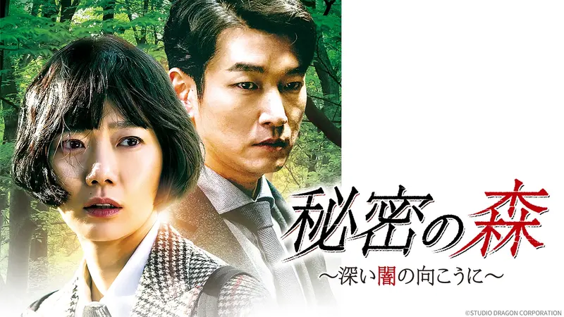 韓国ドラマ「秘密の森 ～深い闇の向こうに～」